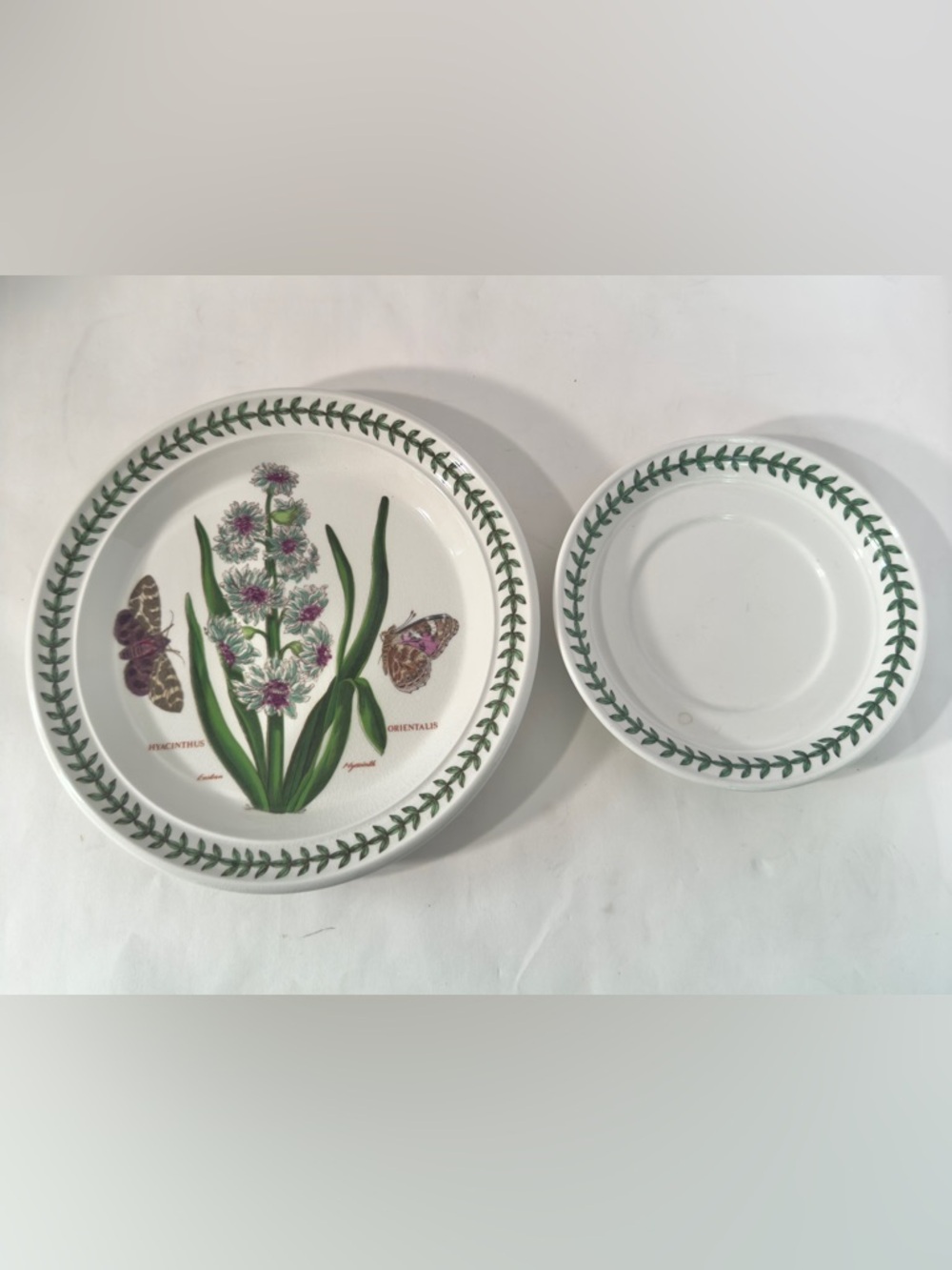 Portmeirion Digitalis 8 inches Salad Plate with Bonus Saucer